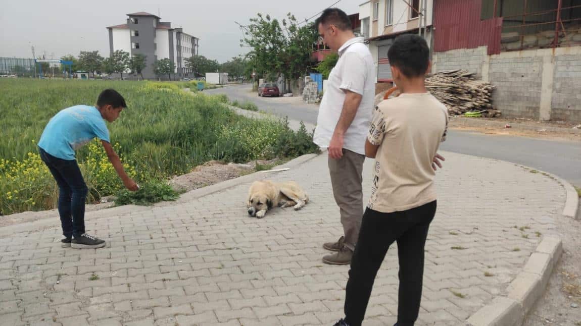 “Sokaktaki Dost” Etkinliğimiz.